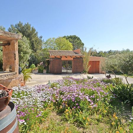 Villa Torreon Alcúdia Extérieur photo